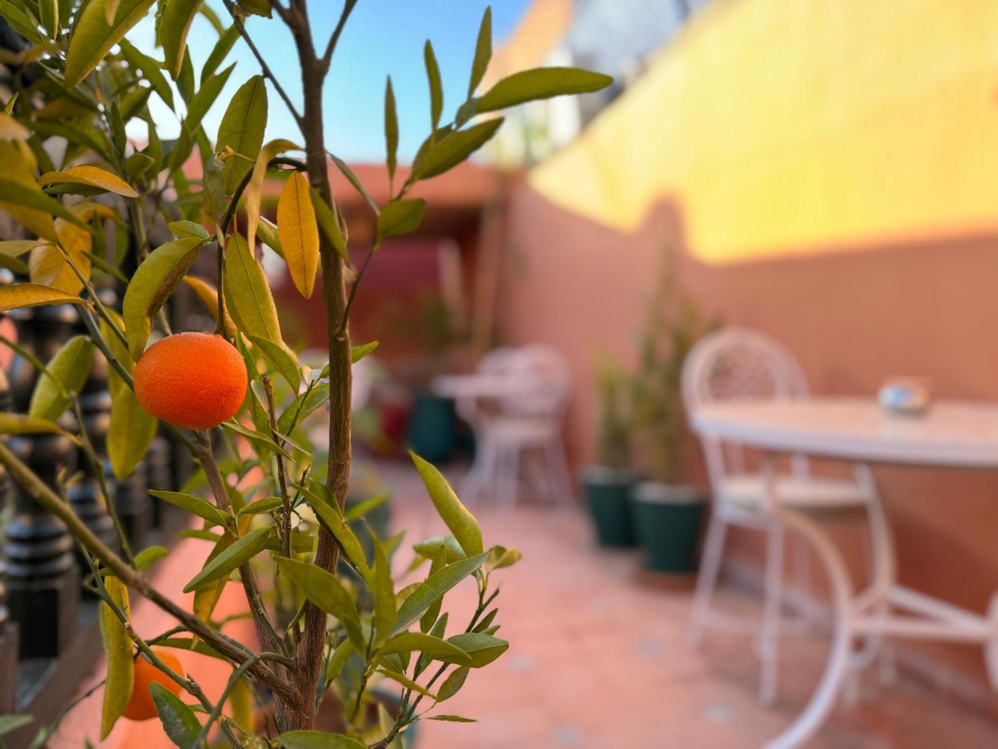 Riad Sanwa مراكش المظهر الخارجي الصورة
